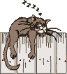 comic-cat-fence16.gif (2487 bytes)