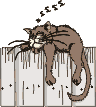 comic-cat-fence16.gif (2487 bytes)